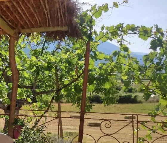 Bujtina Polimen Hotel Permet Guest house