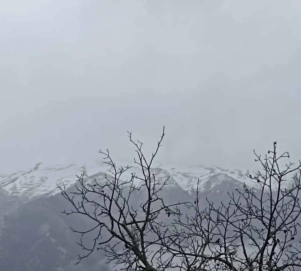 Guest house Bujtina Polimen Hotel Permet Albania